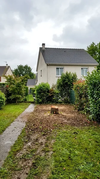 Abattage d'arbre Pessac